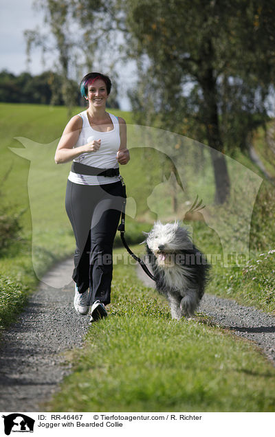 Jogger mit Bearded Collie / Jogger with Bearded Collie / RR-46467