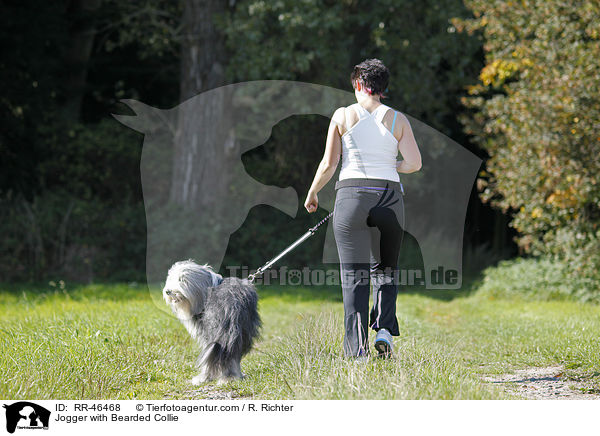 Jogger mit Bearded Collie / Jogger with Bearded Collie / RR-46468