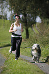 Jogger with Bearded Collie