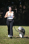 Jogger with Bearded Collie