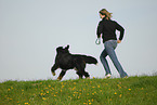 woman and Bernese Mountain Dog