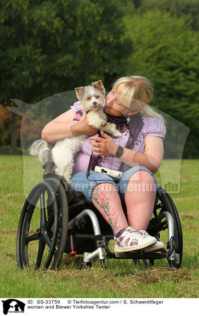 Frau und Biewer Yorkshire Terrier / woman and Biewer Yorkshire Terrier / SS-33759