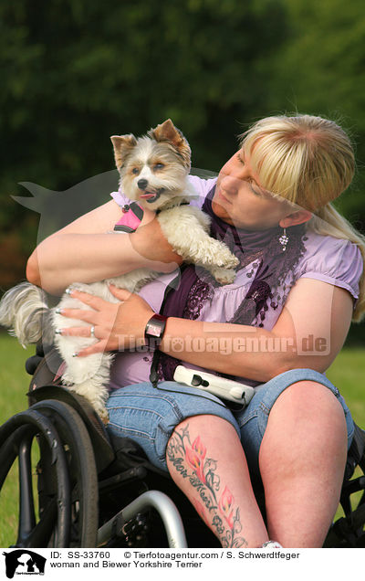 Frau und Biewer Yorkshire Terrier / woman and Biewer Yorkshire Terrier / SS-33760