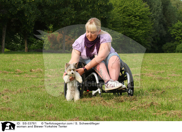 Frau und Biewer Yorkshire Terrier / woman and Biewer Yorkshire Terrier / SS-33761