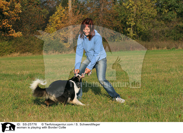 Frau spielt mit Border Collie / woman is playing with Border Collie / SS-25776