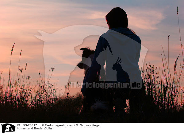 Mensch und Border Collie / human and Border Collie / SS-25817