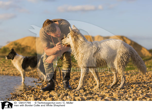 Mann mit Border Collie und Weier Schferhund / man with Border Collie and White Shepherd / CM-01766