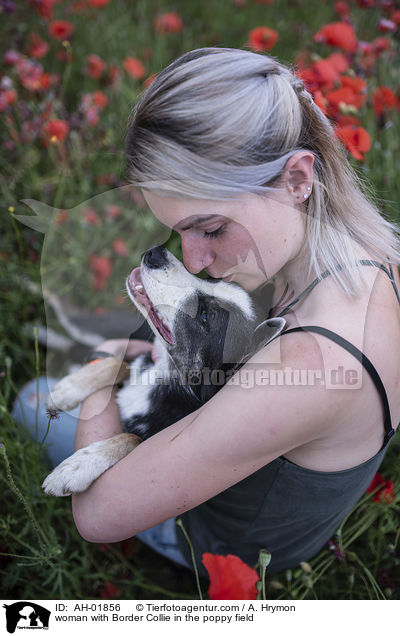 Frau mit Border Collie im Mohnfeld / woman with Border Collie in the poppy field / AH-01856