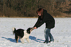 playing with dog in the snow