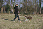 woman plays with Border Collie