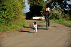 Border Collie at bike