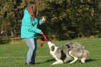 woman and Border Collie