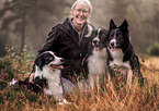 3 Border Collies