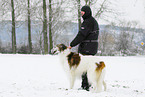 Borzoi