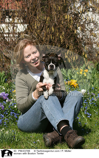 Frau mit Boston Terrier / woman with Boston Terrier / PM-03786