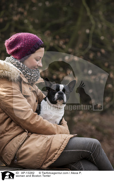 Frau und Boston Terrier / woman and Boston Terrier / AP-13282