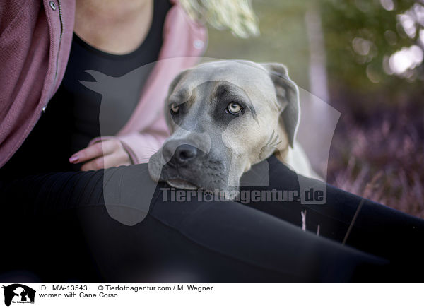 Frau mit Cane Corso / woman with Cane Corso / MW-13543