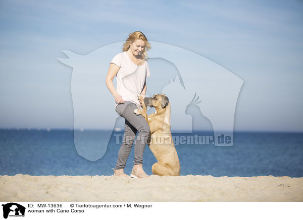 Frau mit Cane Corso / woman with Cane Corso / MW-13636