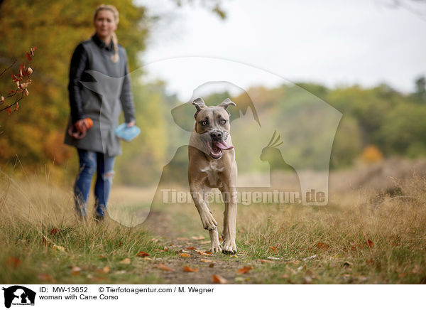 Frau mit Cane Corso / woman with Cane Corso / MW-13652