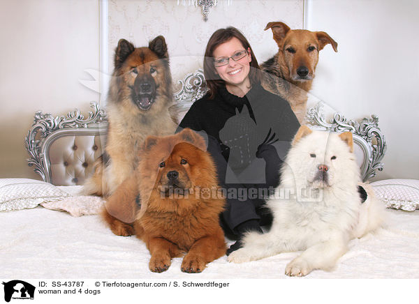 Frau und 4 Hunde / woman and 4 dogs / SS-43787