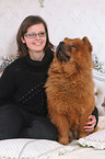 woman and Chow Chow
