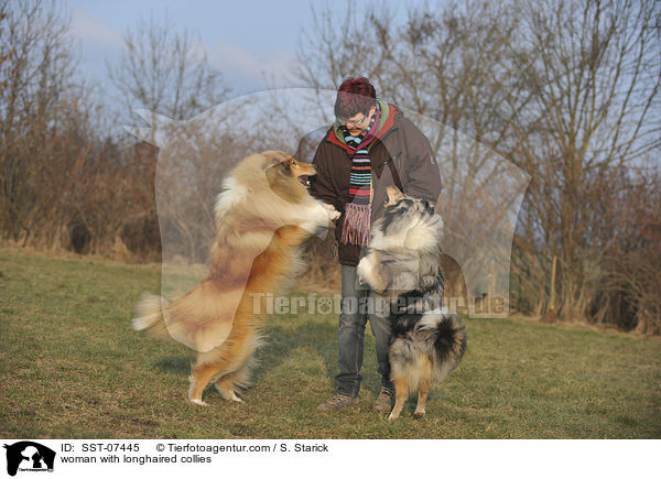 Frau mit Langhaarcollies / woman with longhaired collies / SST-07445