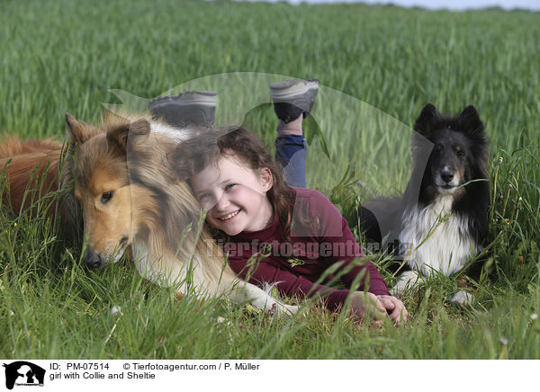 Mdchen mit Collie und Sheltie / girl with Collie and Sheltie / PM-07514