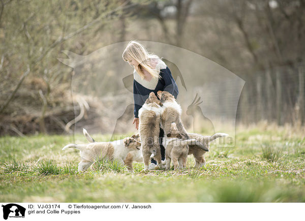 Mdchen und Collie Welpen / girl and Collie Puppies / VJ-03174