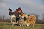 woman with longhaired collies