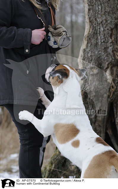 Mensch mit Continental Bulldog / human with Continental Bulldog / AP-07570