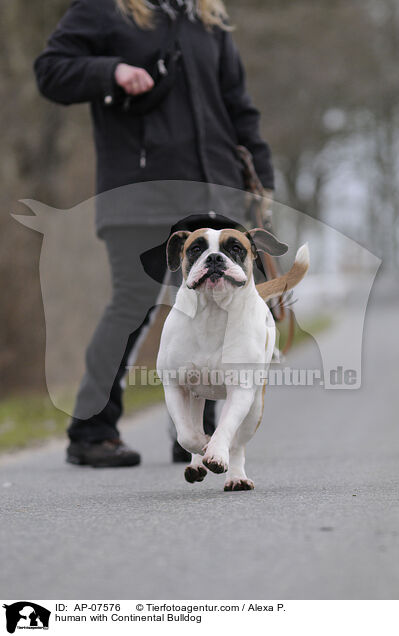Mensch mit Continental Bulldog / human with Continental Bulldog / AP-07576