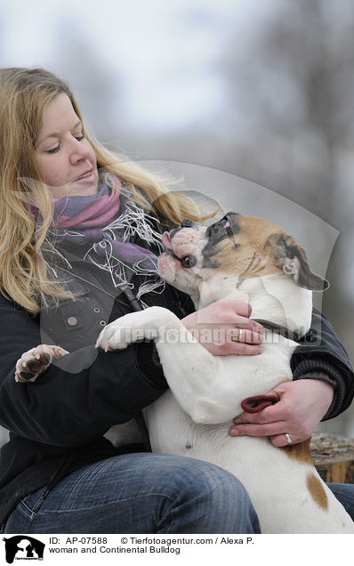 woman and Continental Bulldog / AP-07588