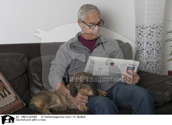 Dackel mit Mann / Dachshund with a man / HBO-02986