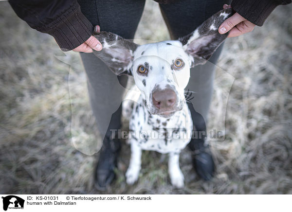 Mensch mit Dalmatiner / human with Dalmatian / KS-01031