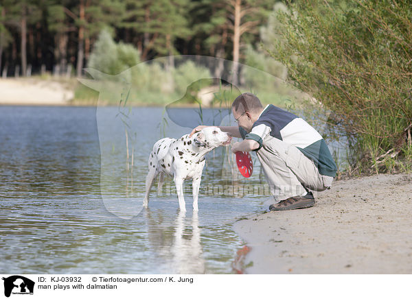 Mann spielt mit Dalmatiner / man plays with dalmatian / KJ-03932