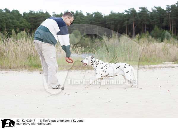 Mann spielt mit Dalmatiner / man plays with dalmatian / KJ-03947