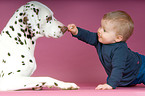 Dalmatian and baby