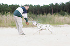 man plays with dalmatian