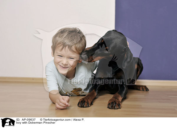 Junge mit Dobermann / boy with Doberman Pinscher / AP-09637
