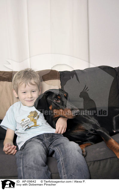 Junge mit Dobermann / boy with Doberman Pinscher / AP-09642
