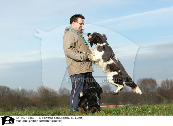 Mann und English Springer Spaniel / man and English Springer Spaniel / KL-13563