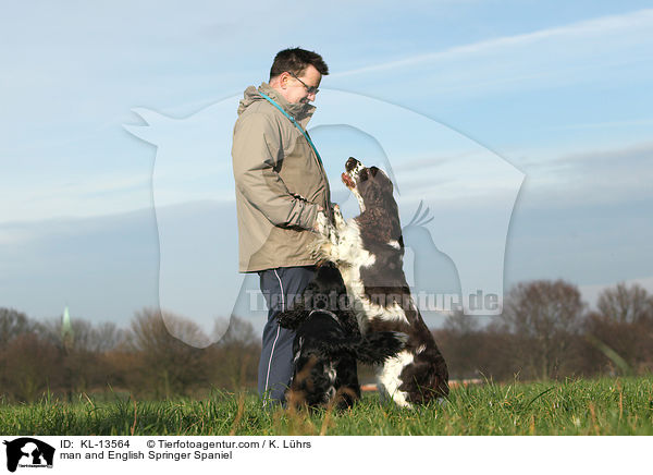 Mann und English Springer Spaniel / man and English Springer Spaniel / KL-13564