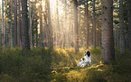 English Springer Spaniel