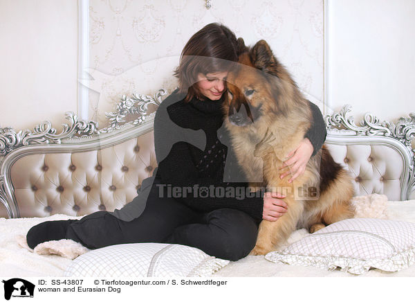 Frau und Eurasier / woman and Eurasian Dog / SS-43807