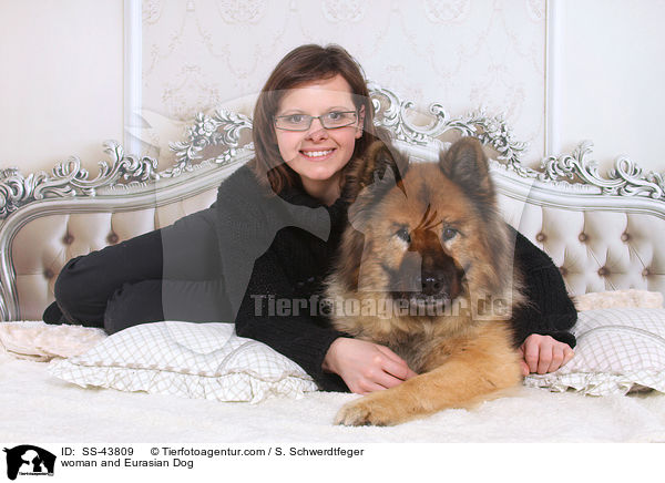 Frau und Eurasier / woman and Eurasian Dog / SS-43809