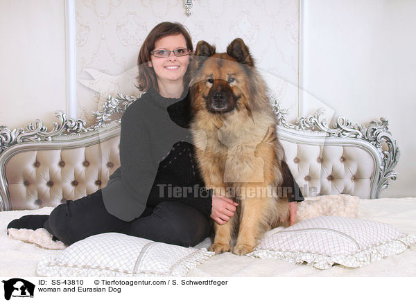 Frau und Eurasier / woman and Eurasian Dog / SS-43810