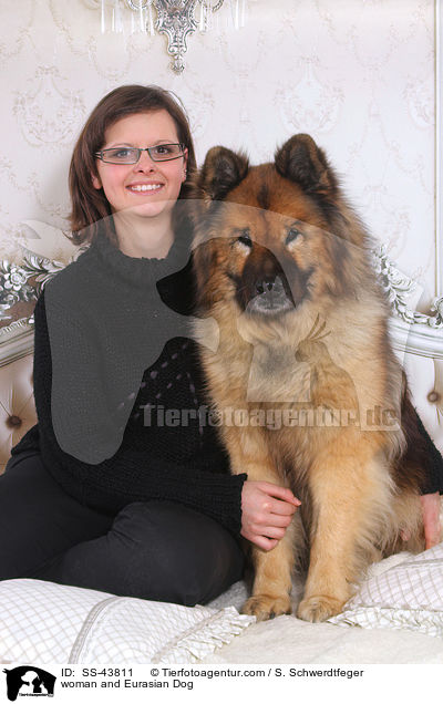 Frau und Eurasier / woman and Eurasian Dog / SS-43811