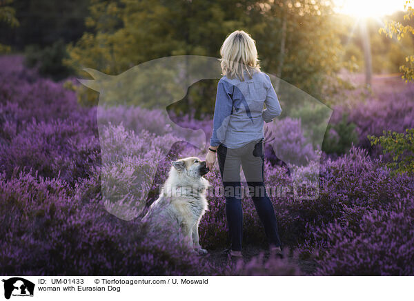 Frau mit Eurasier / woman with Eurasian Dog / UM-01433