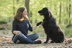 Flat Coated Retriever