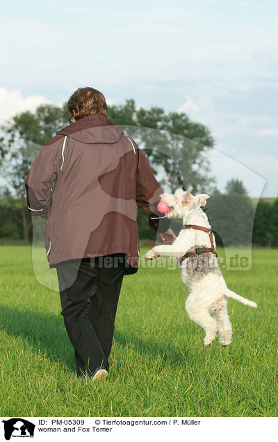 Frau und Foxterrier / woman and Fox Terrier / PM-05309